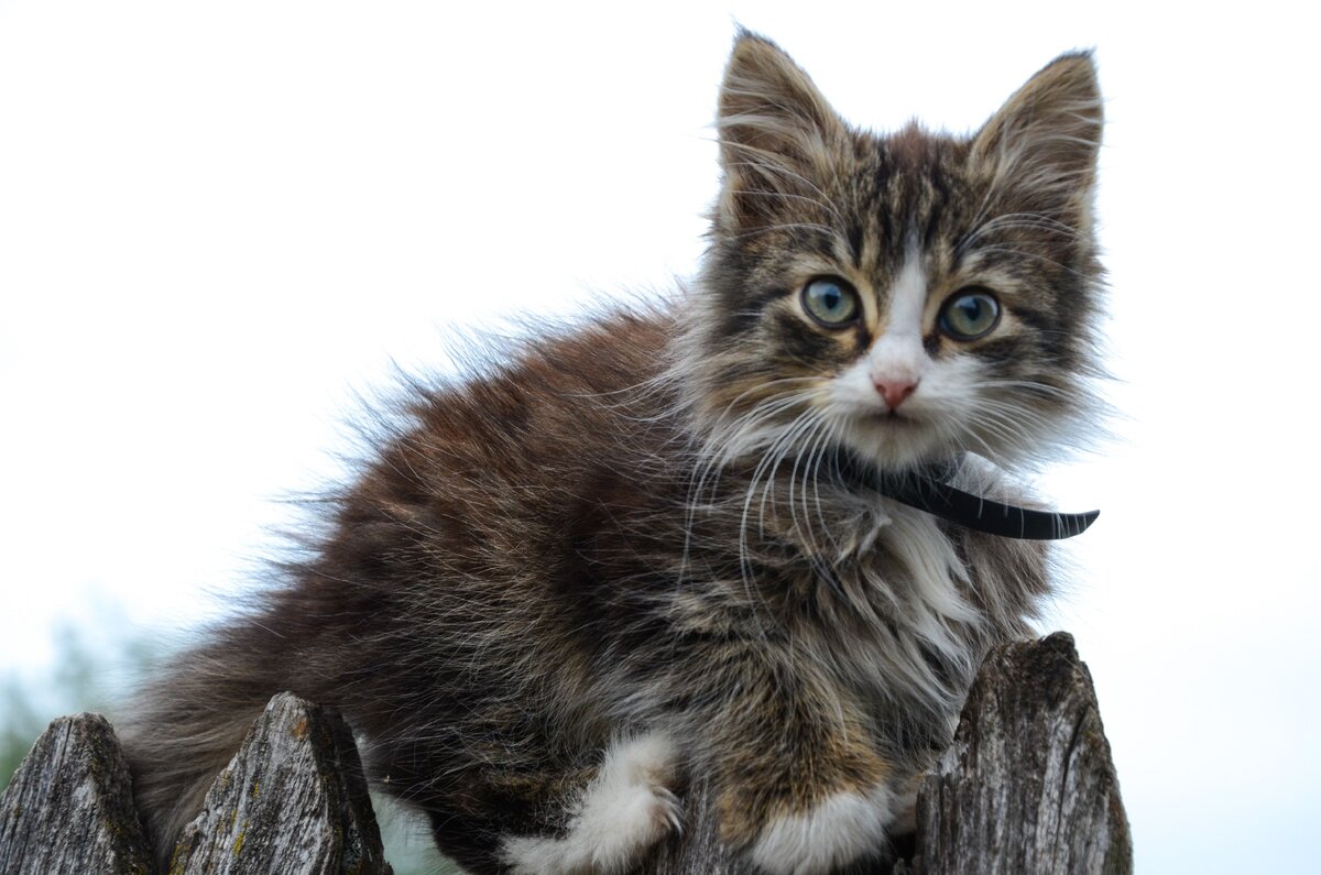  Уже выглядывает нас