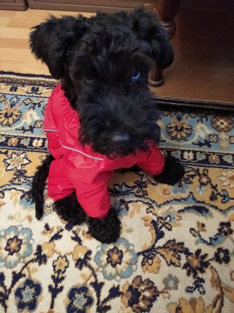 из личного архива автора