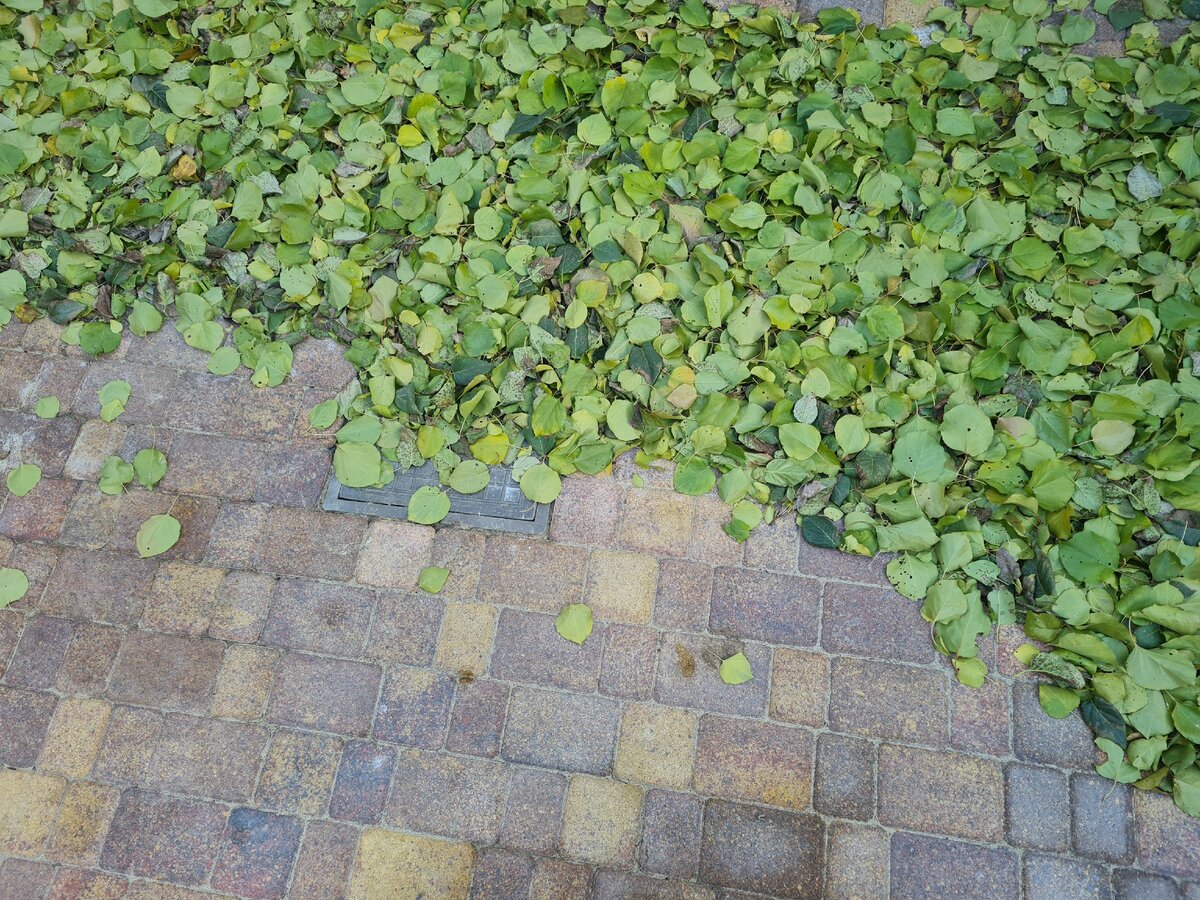 Камера Samsung S20FE 