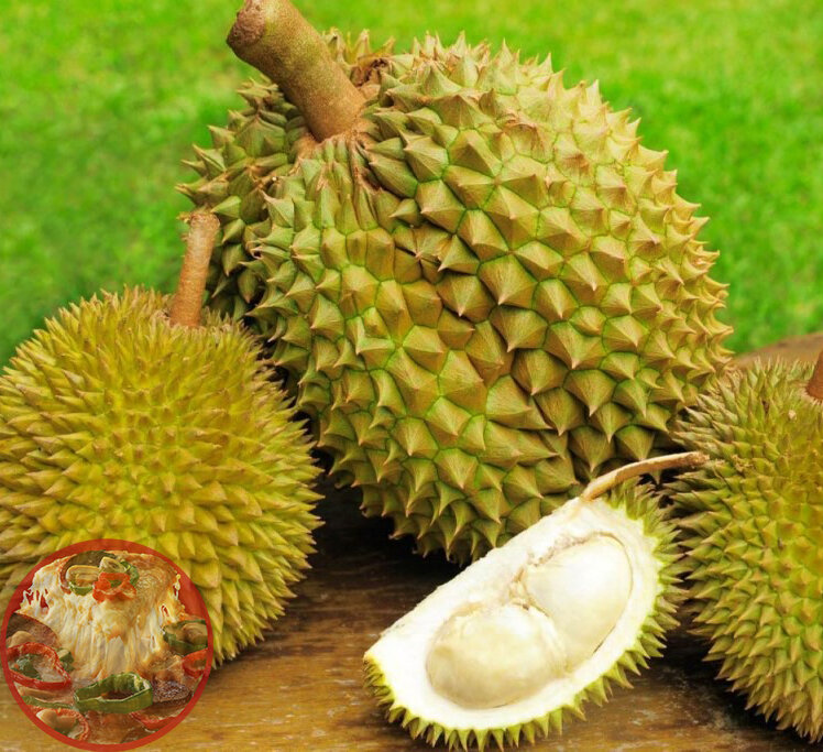 Дуриан. Фото взято с Яндекс.Картинки