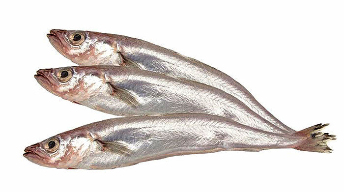 Источник: Яндекс. Картинки