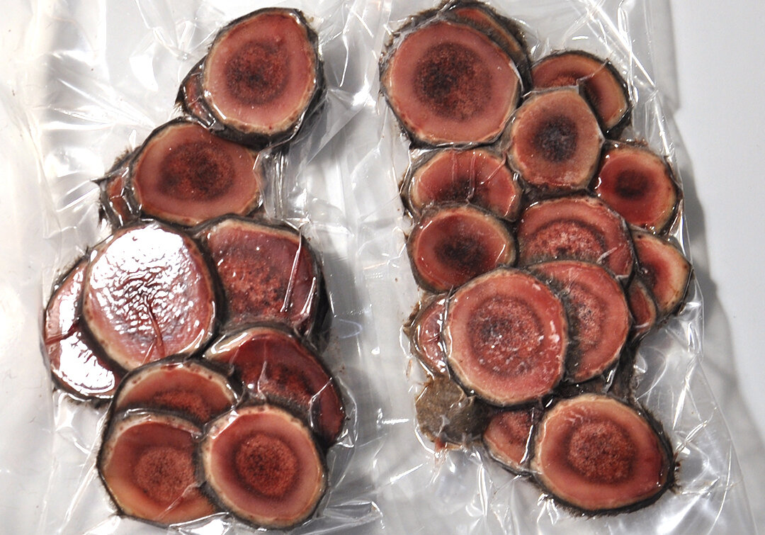 Замороженные панты марала для процедуры "Пантовая бочка" в центре оздоровления "Грани Алтая"