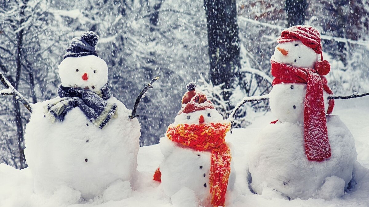 У нас снега пока нет. Поэтому фото из открытых источников :)