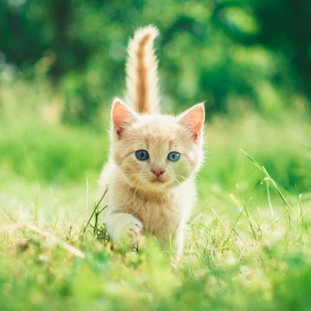 Давай поиграем!