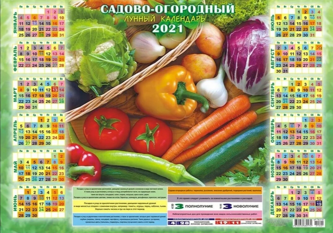 Дачный календарь на февраль. Садовый календарь. Садово огородный календарь. Сад огород календарь. Садовый календарь на 2021.