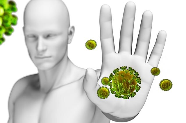 Иммунная система защищает нас от влияния внешних отрицательных факторов, это своего рода линия обороны против негативного действия бактерий, грибков, вирусов и тому подобного. Без
здоровой и эффективной иммунной системы организм становится слабым и гораздо чаще страдает
от различных инфекций.