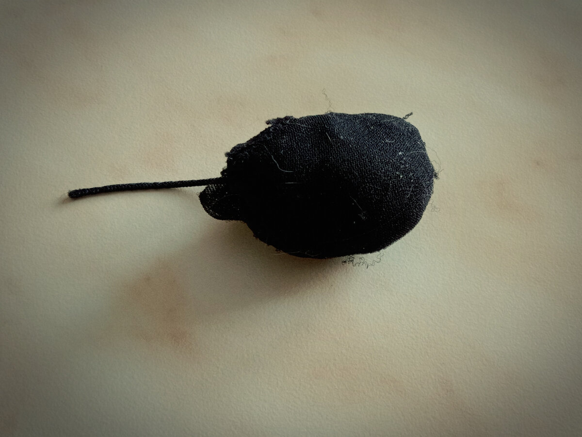 Уже немного потрёпанный от лап и зубов