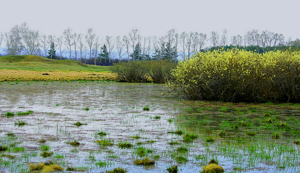 Фотография, стихотворение Василия Глуцкого