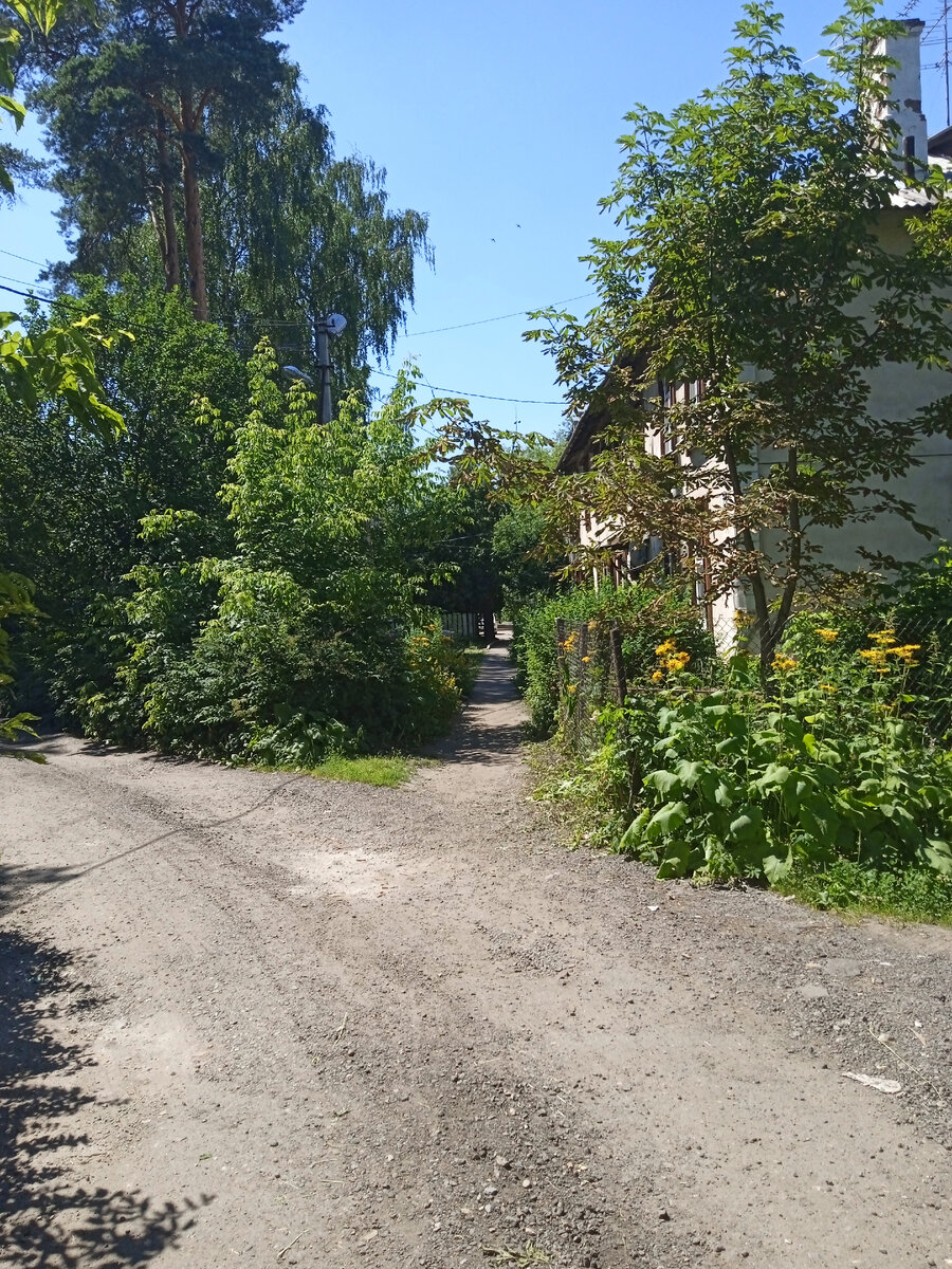 Целый район из 1950-х. Время тут, если не остановилось, то точно замедлилось раз в 10. 21 век, тут выдаёт, только современный фонарный столб и пластиковые окна. Иногда можно подметить кондиционер или спутниковую тарелку.