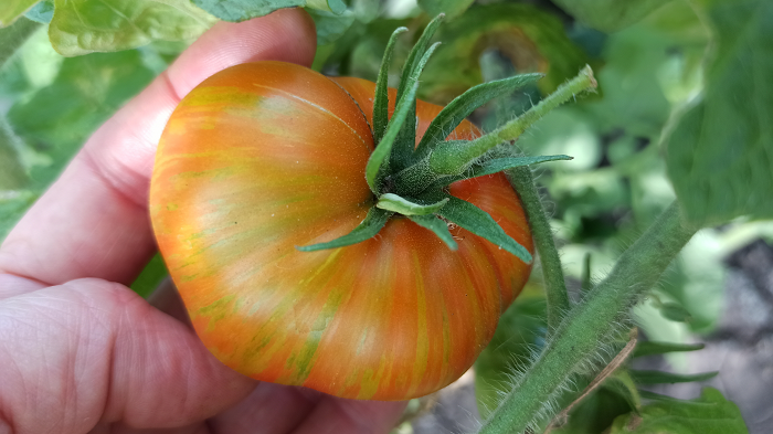 Малахитовая шкатулка от приятельницы, личный архив