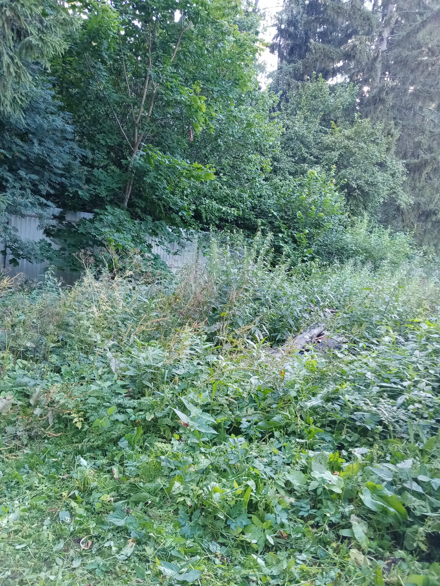 Личное фото автора канала