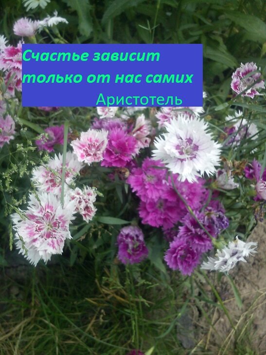 Человек проходит мимо этих цитат, а сердце и душа остаются к ней глухи.