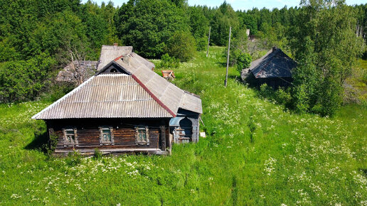 Download Video: Заброшенная деревня Сицкарей в лесах Ярославской области