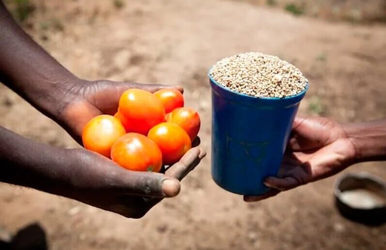 Фото из открытых источников