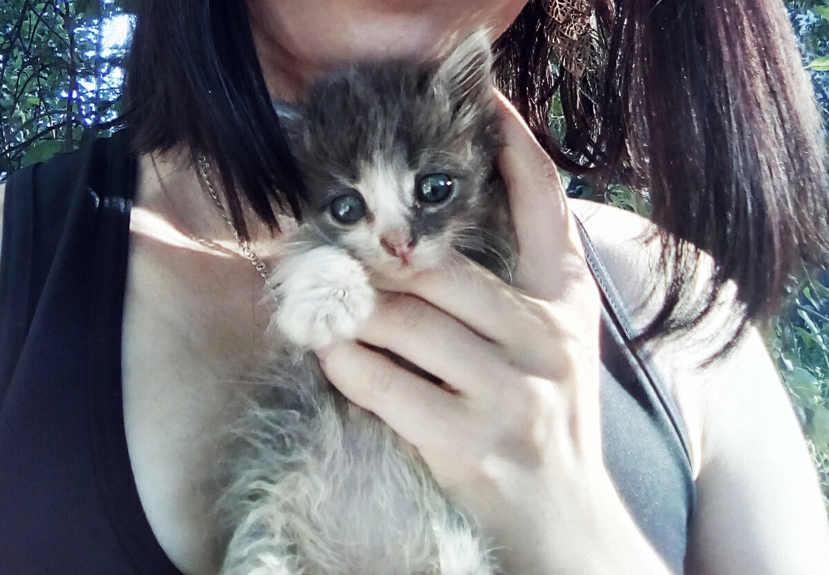 Нехватка материнского молока сильно на нем сказалась. Он долго был чахленький, не смотря на все старания мои и ветеринаров. Ему отчаяно не хватало иммунитета.