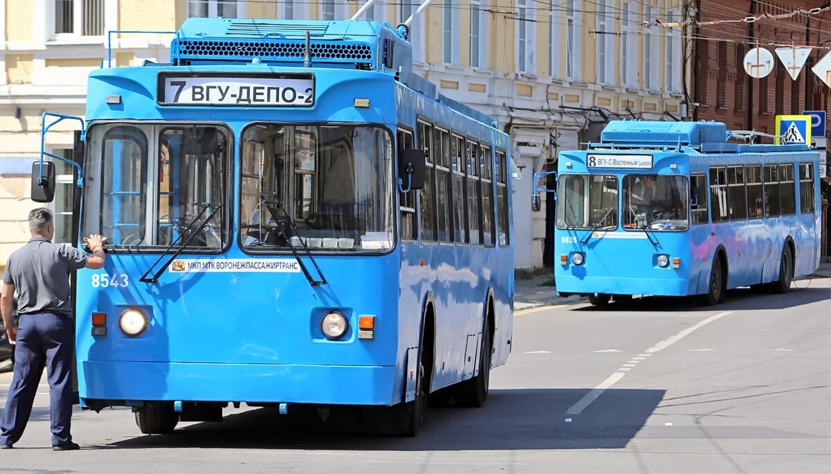 Воронеж. Минус еще один | ПАНТОГРАФ | Дзен