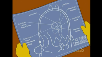 Гомер его мозг симпсон и В жизнь разговор длиною