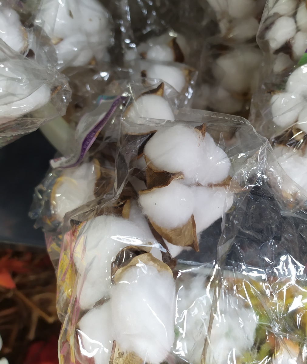 Фото автора канала Топай и лопай