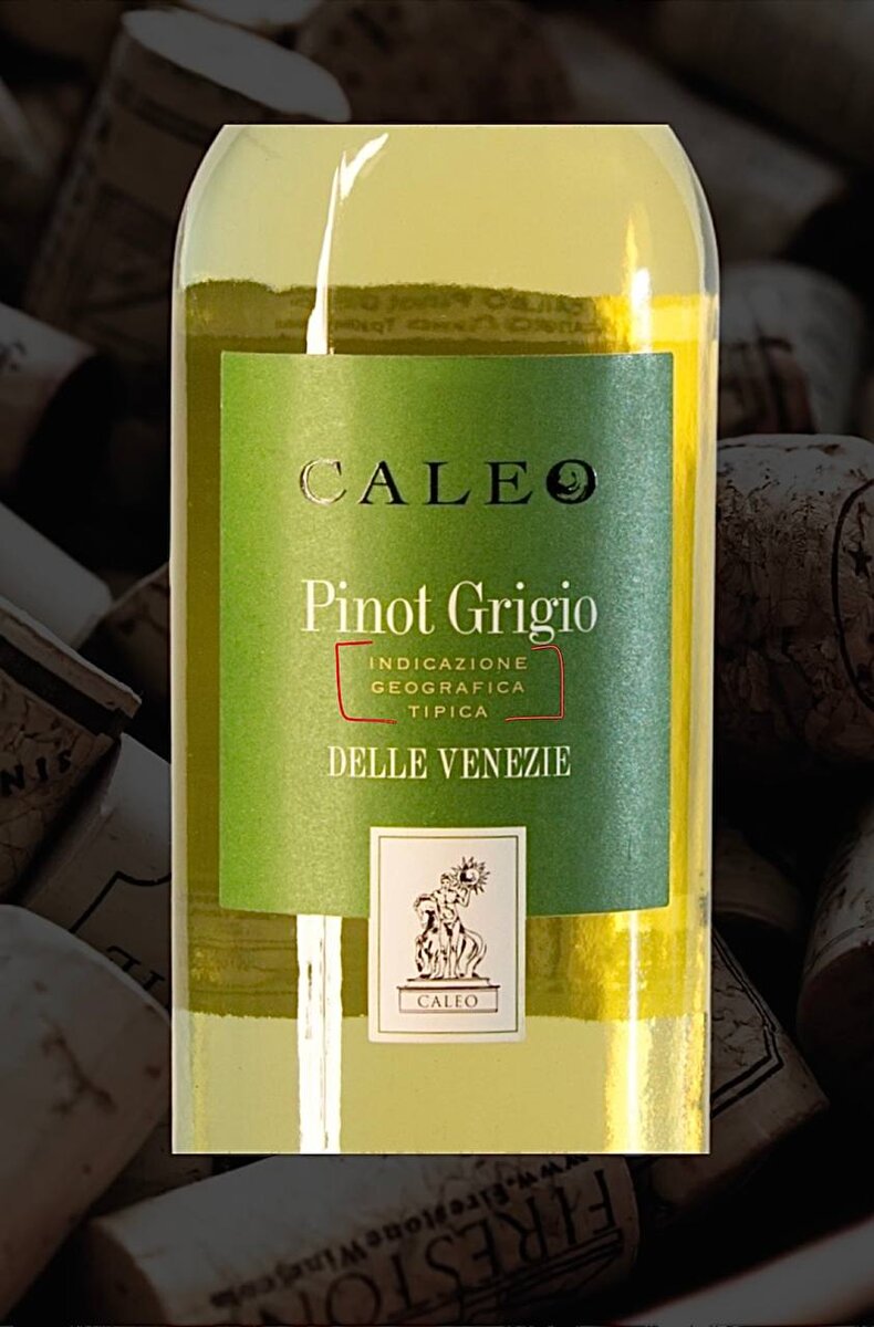 Pinot Grigio IGT Caleo
