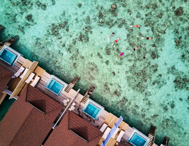 The Standard, Huruvalhi Maldives, Новый, популярный отель и... по лучшей цене