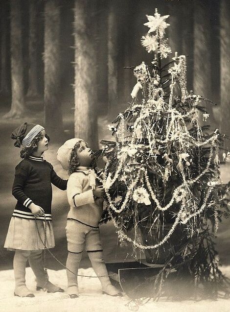 Французская ёлка