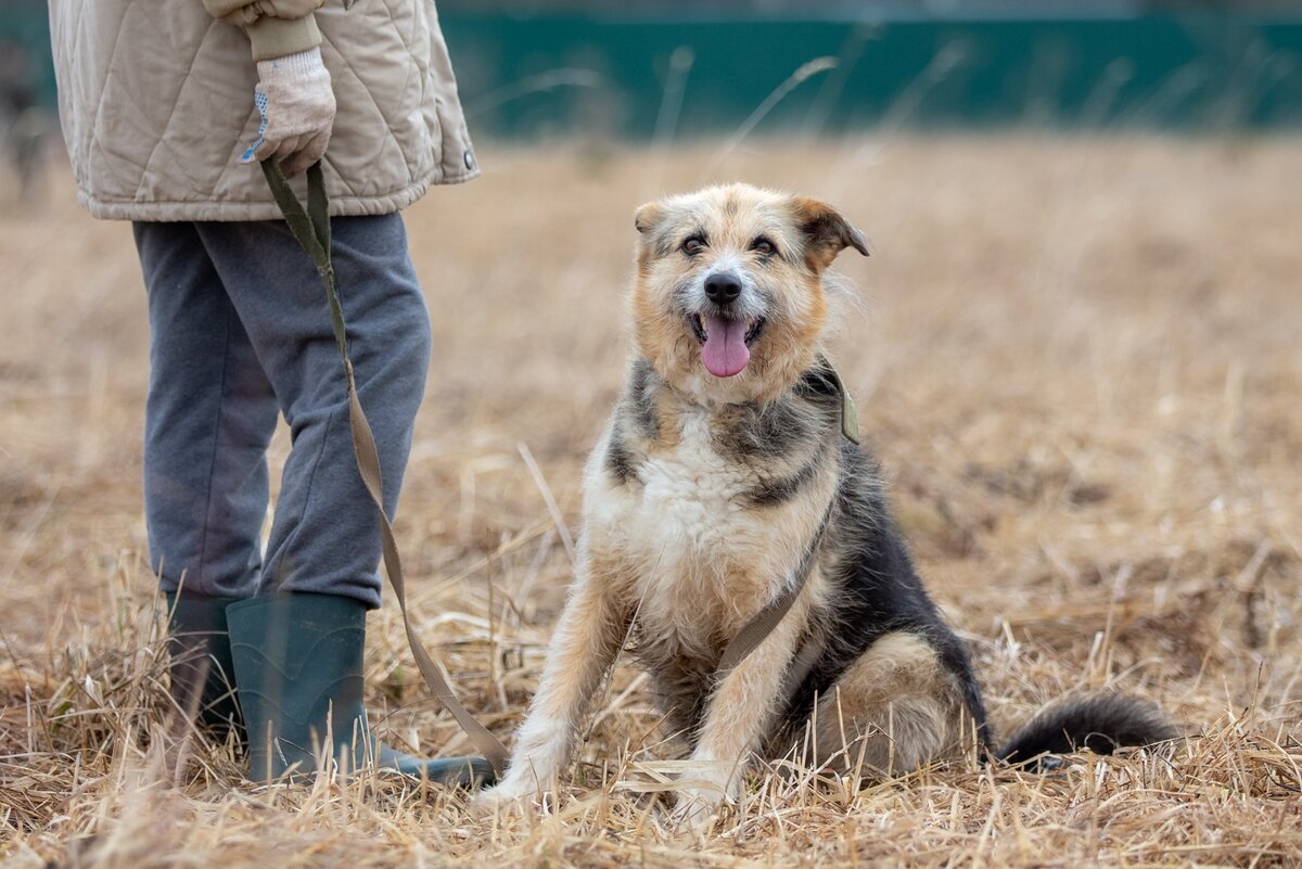 —  Ага, что-то я и правда засиделась