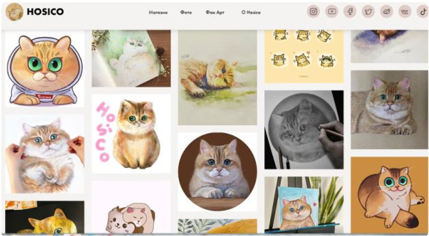 хосико кот дзен