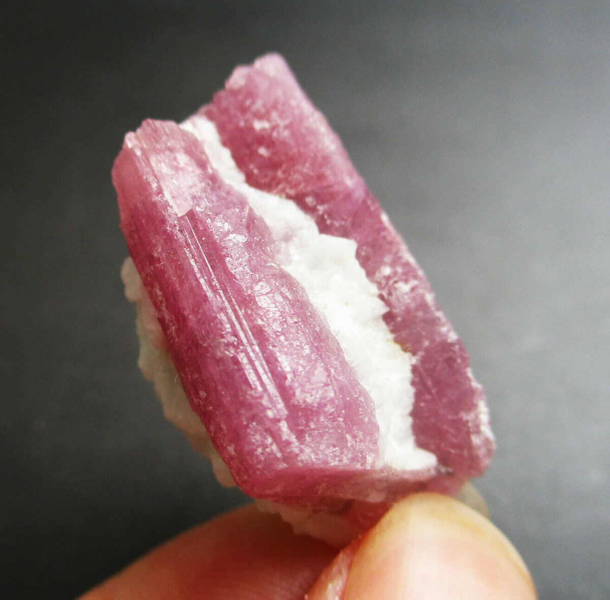 Источник: sdlgiftstore.tumblr.com