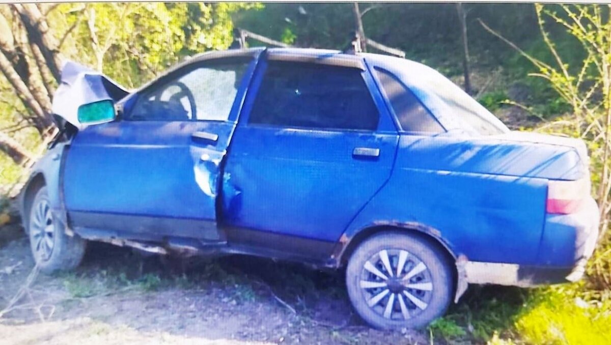    В Пугачевском районе отечественное авто в поле протаранило деревоНовости Саратова и области – Сетевое издание «Репортер64»