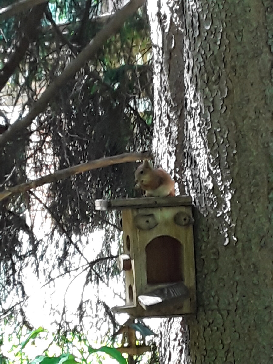 В ботаническом саду Академии наук Урала