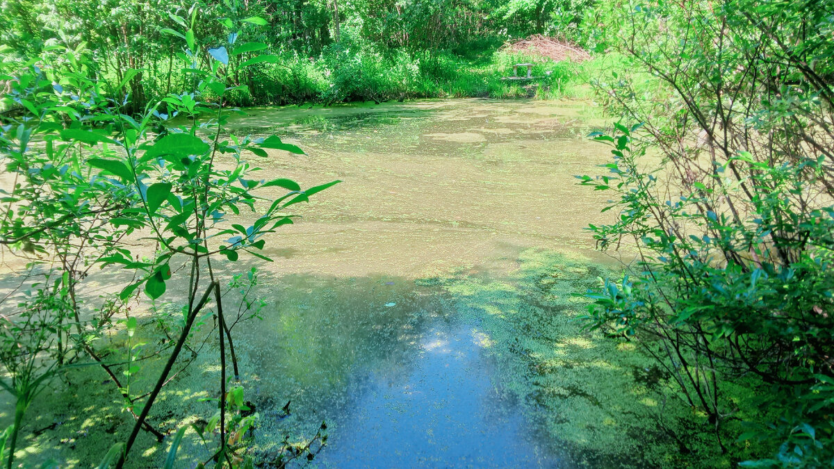 На мой взгляд ... сомнительная тут рыбалка ...