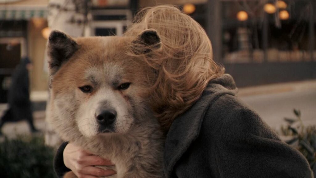 Источник фото - https://www.kp.ru/