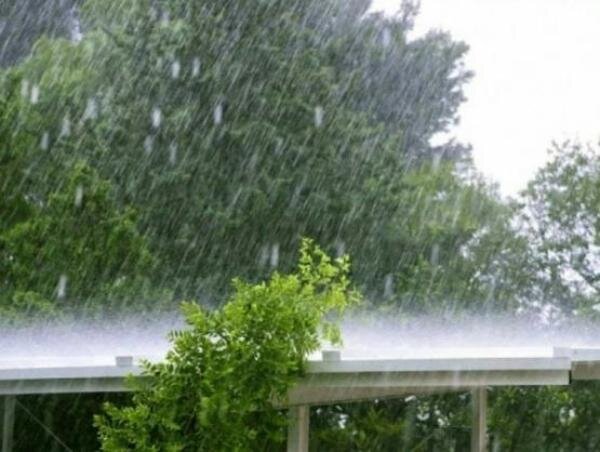 Источник фото: ГО и ЧС Ростова 