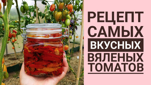 ВЯЛИМ ТОМАТЫ 🍅🍅🍅 САМЫЙ ВКУСНЫЙ РЕЦЕПТ. МАССОВЫЙ СБОР УРОЖАЯ С ТЕПЛИЦЫ