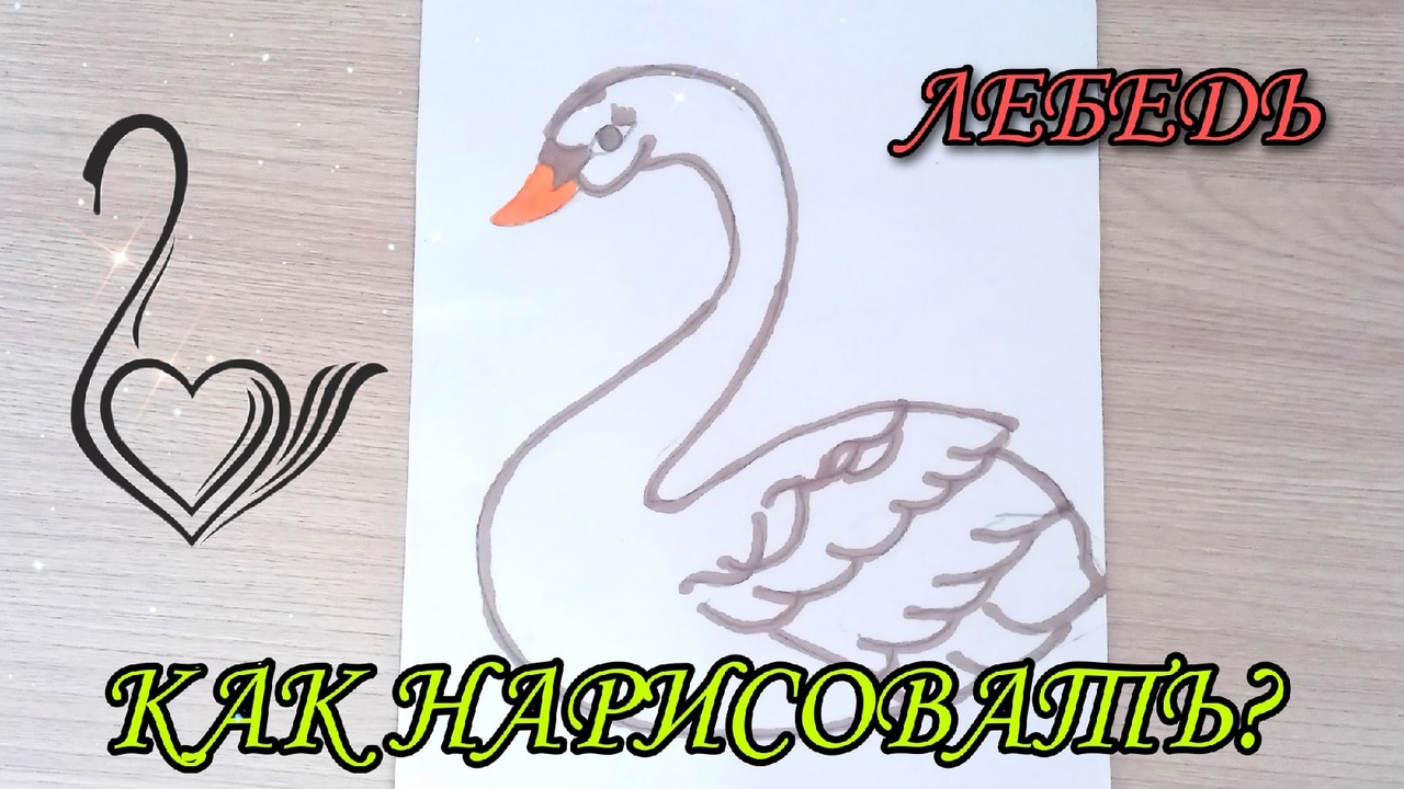 Как нарисовать лебедя