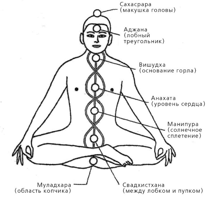 ВВЕДЕНИЕ В СИСТЕМУ ЧАКРА