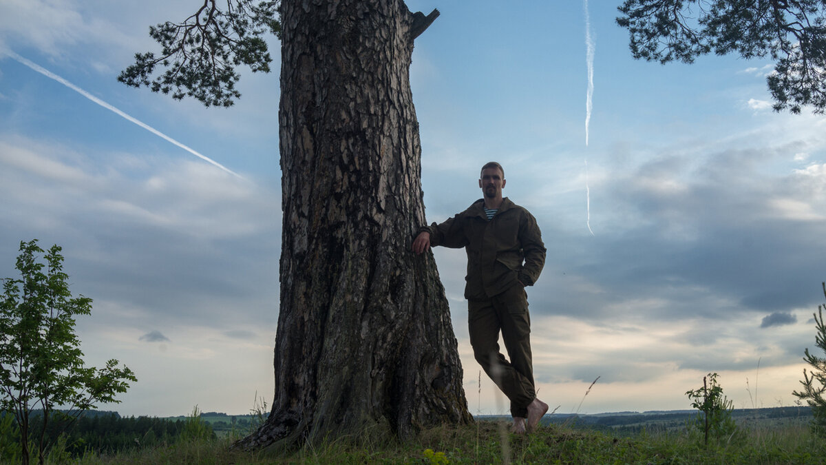 На протяжении девяти лет я приходил к этой сосне почти каждый день. Она стала моим деревом бодхи
