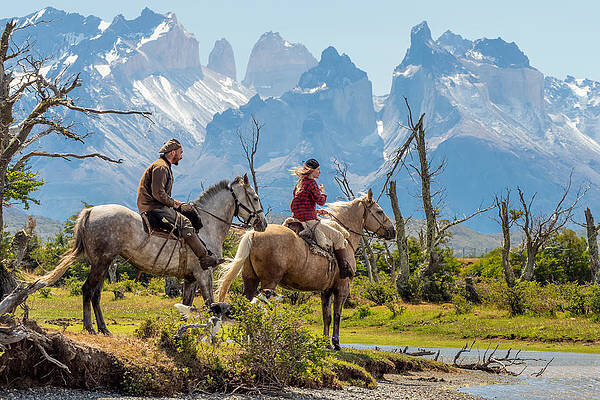 Аргентинский ковбой 5 букв сканворд. Аргентинский ковбой 5 букв сканворд. Ковбои гаучо. Пастухи гаучо аргентина. Аргентинские ковбои гаучо.
