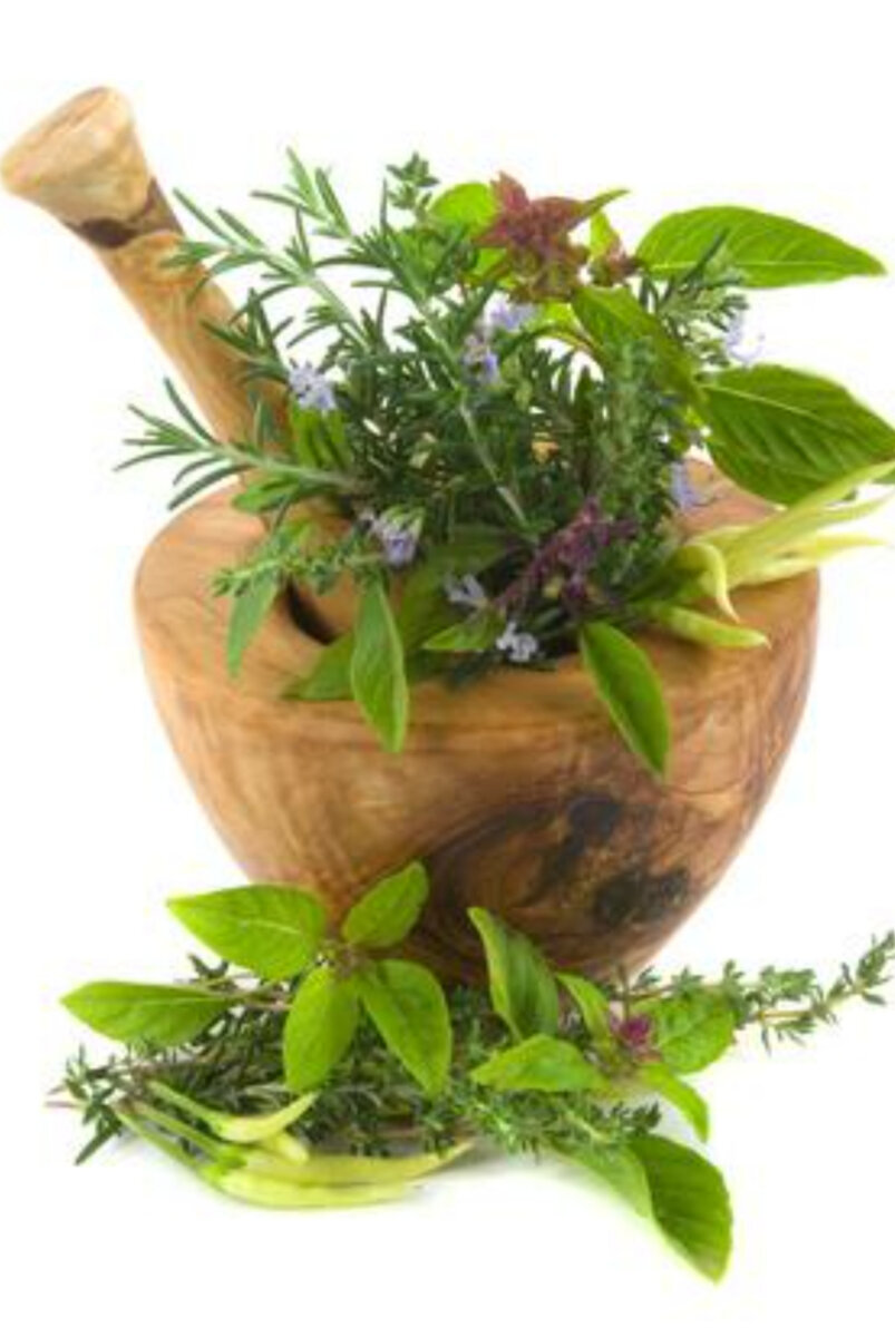 фитотерапия статьи