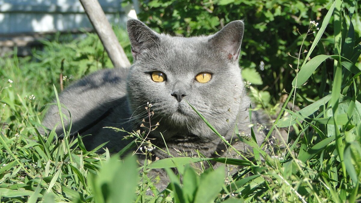Конец!