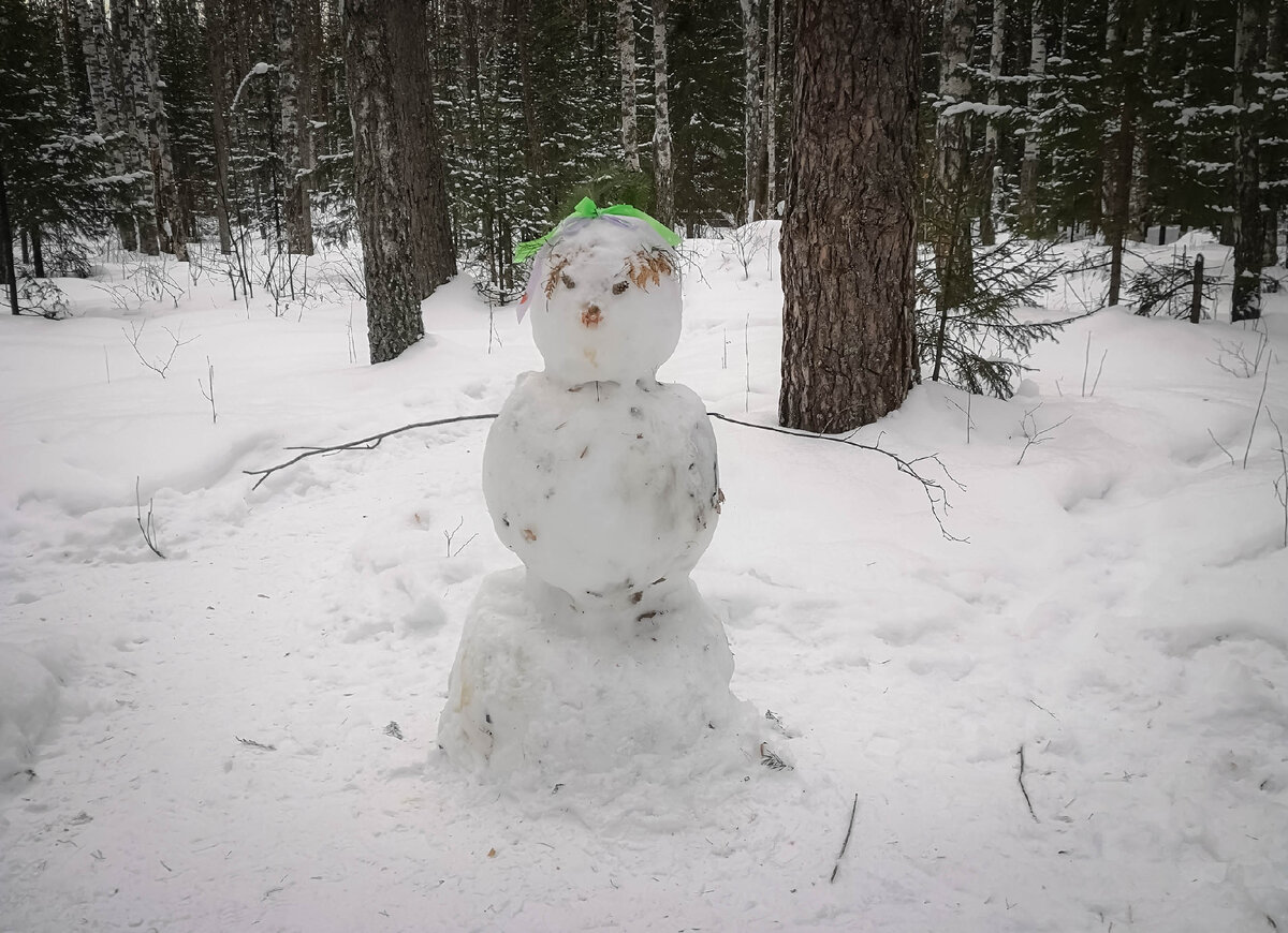 Снеговик тоже недоумевает: куда мы опять? :)