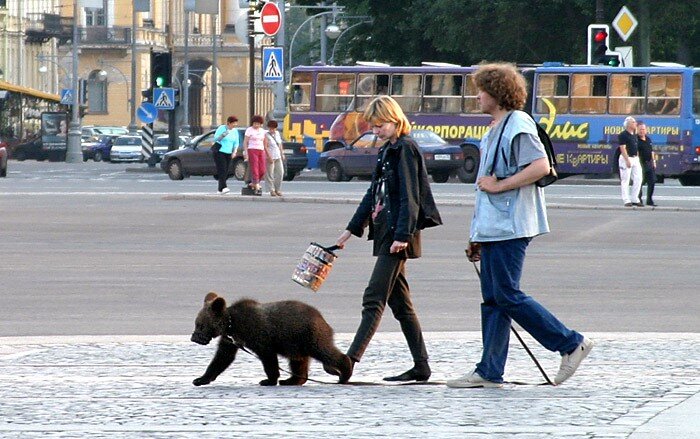 Для некоторых иностранцев Россия — это холодная страна, где по улицах бродят медведи. А население ходит с грустным лицом и активно прикладывается к бутылке.-2