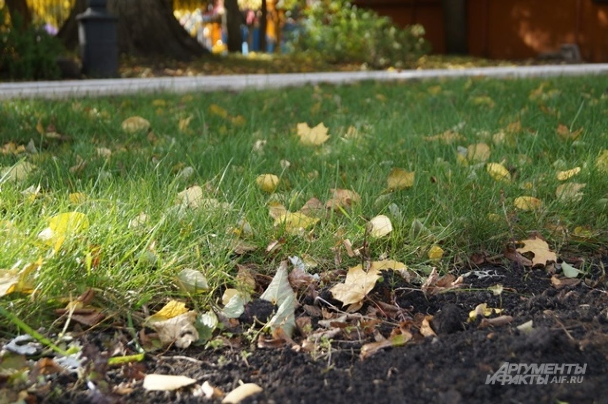    Жара окончательно покинула Пензенскую область.