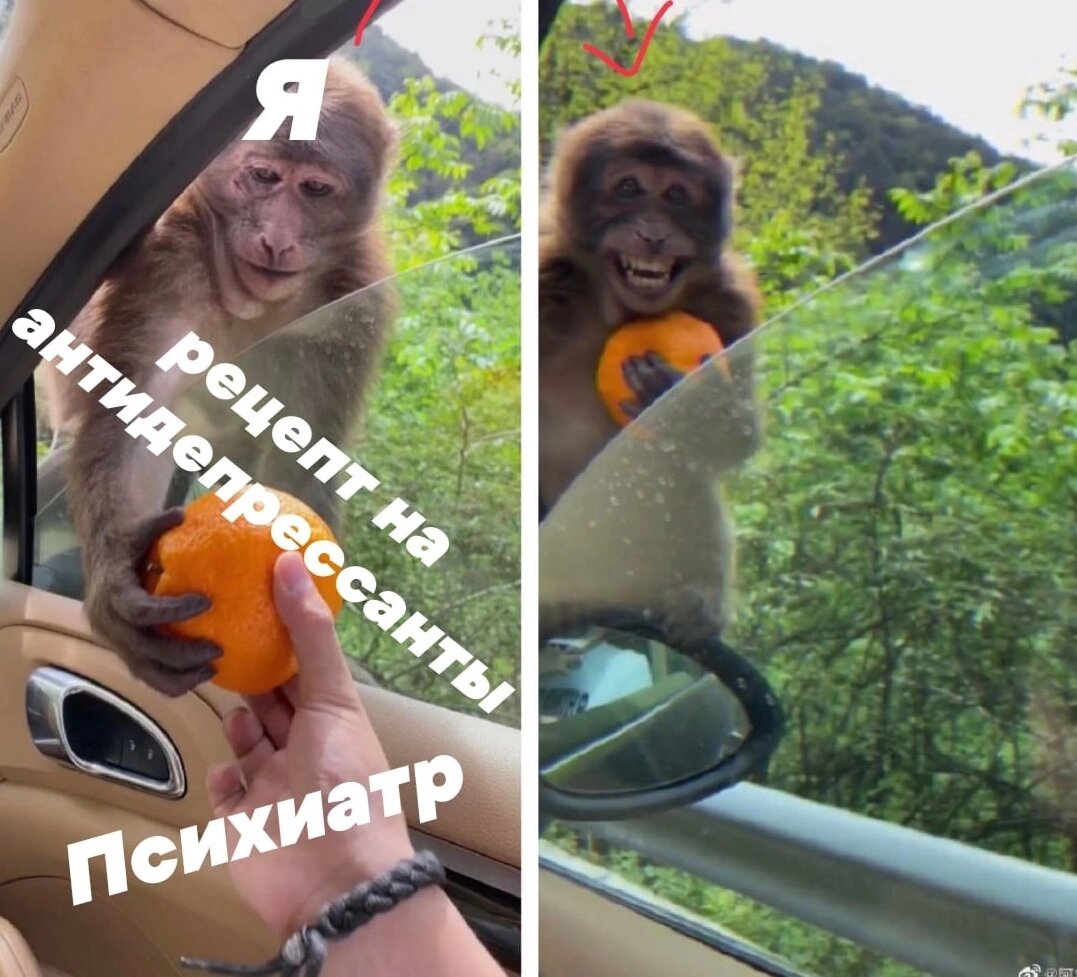 Апельсин тоже сойдет