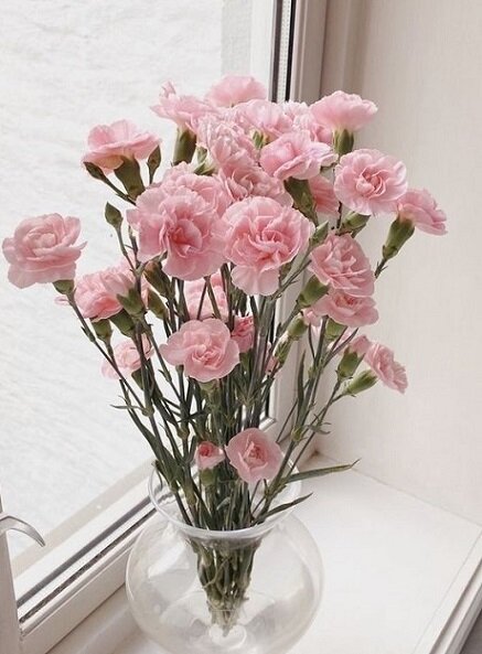 Источник фото Яндекс картинки