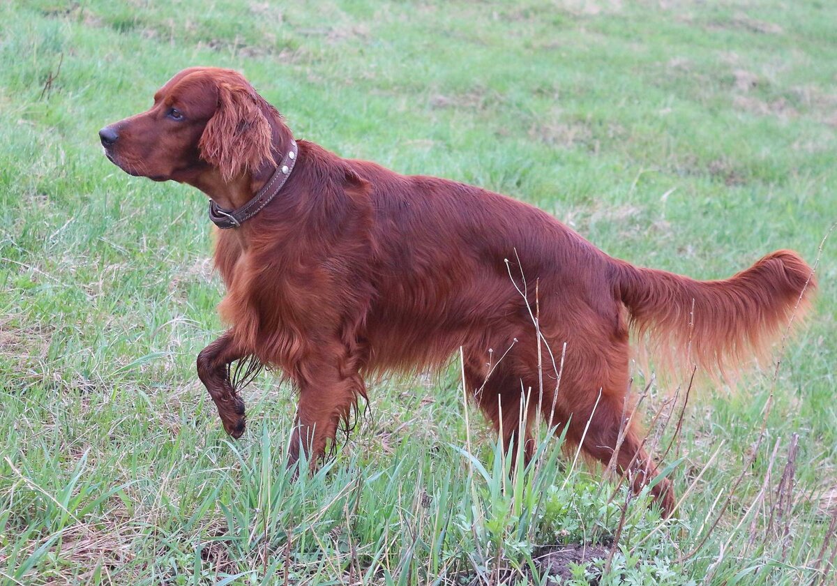 Фото из открытого источника