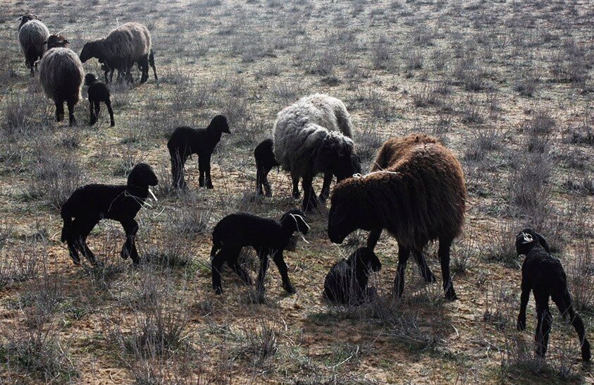 Фото взято с ресурса Яндекс картинки