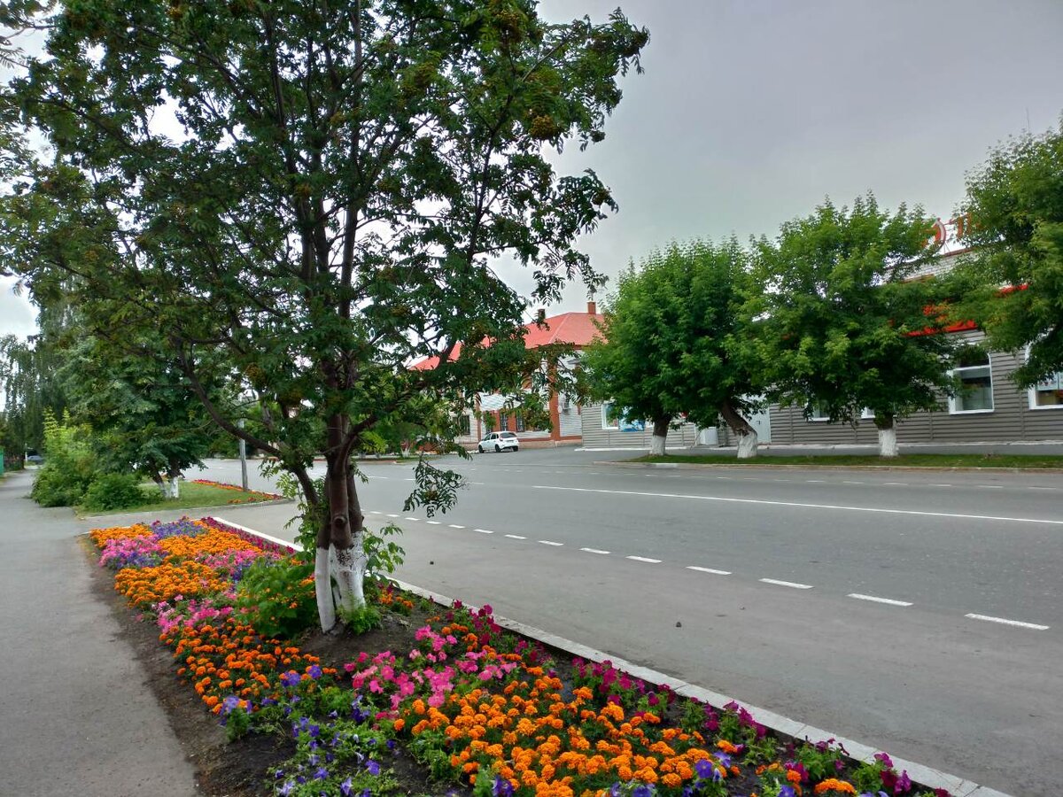 Цветы в Ялутороске везде: на клумбах, вдоль тротуаров, в палисадниках.   Местные гордятся этой красотой и тщательно соблюдают чистоту.  