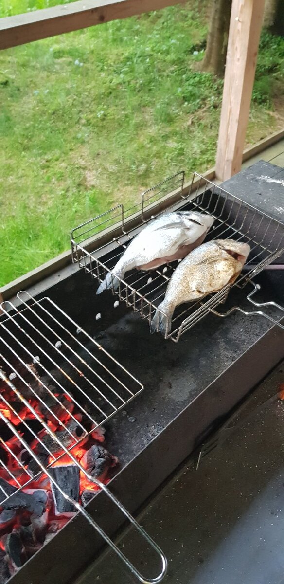 Дорадо на гриле