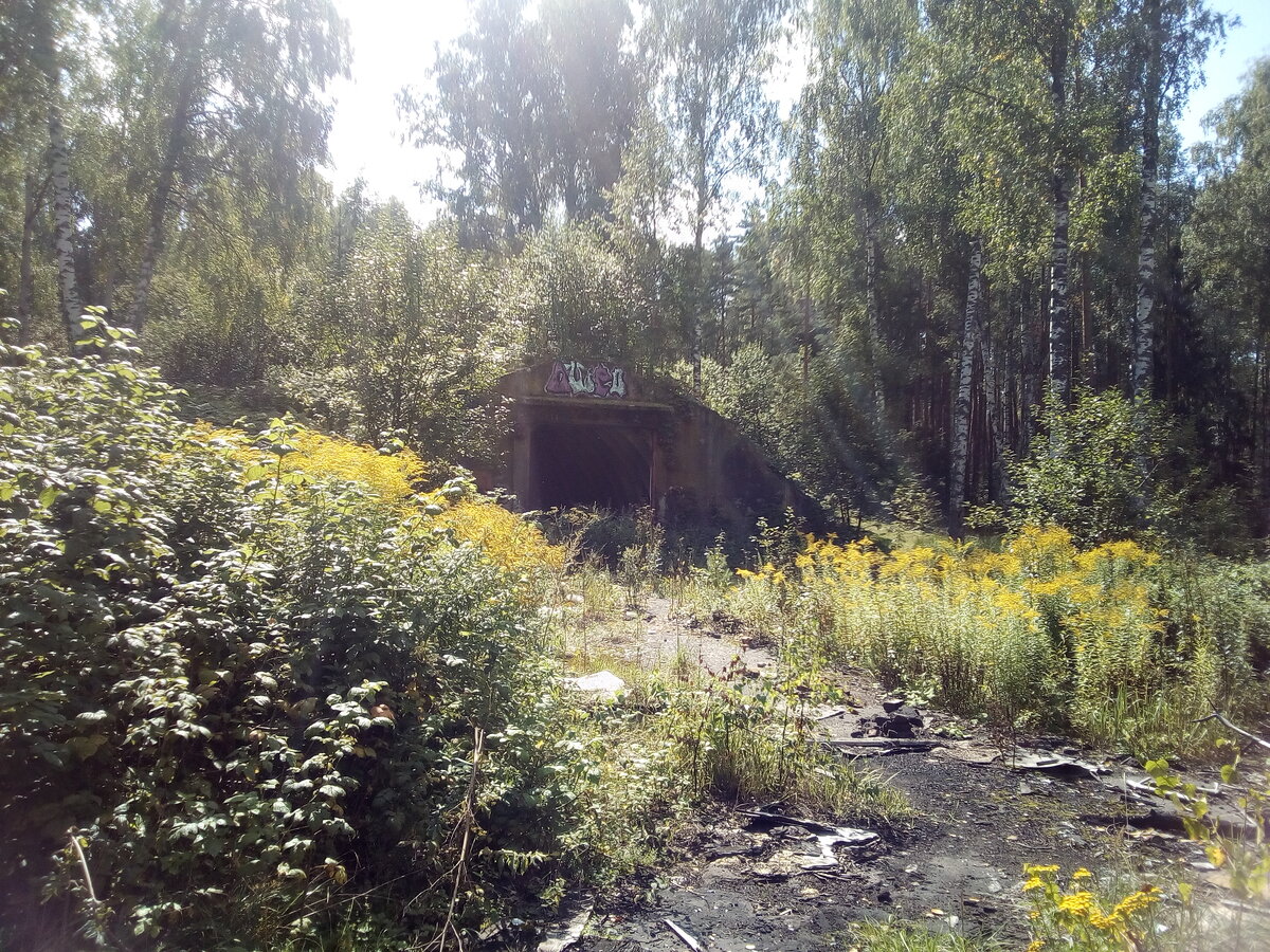 Нашли в лесу огромные ракетные ангары и бункеры